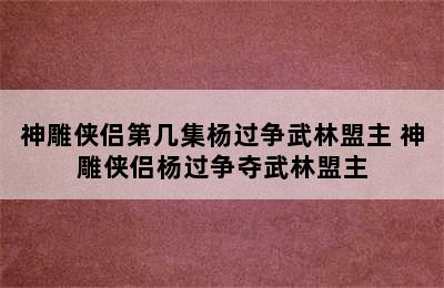 神雕侠侣第几集杨过争武林盟主 神雕侠侣杨过争夺武林盟主